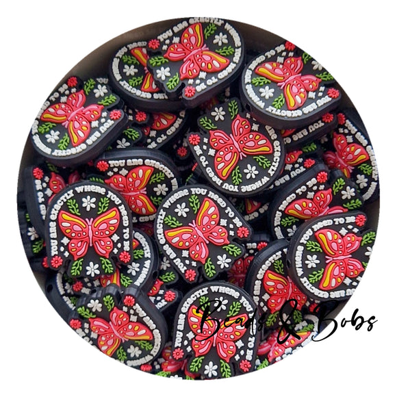 PVC You Are Burtterfly Beads