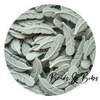 Dove Grey